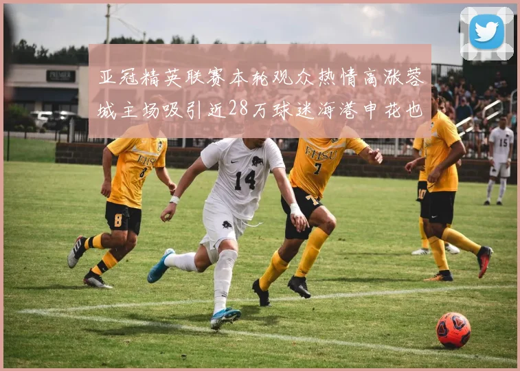 亚冠精英联赛本轮观众热情高涨蓉城主场吸引近28万球迷海港申花也超万人到场