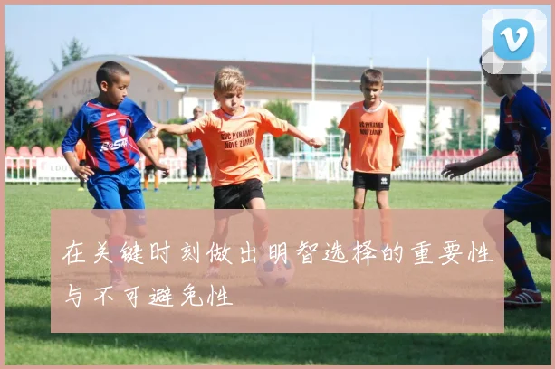 在关键时刻做出明智选择的重要性与不可避免性